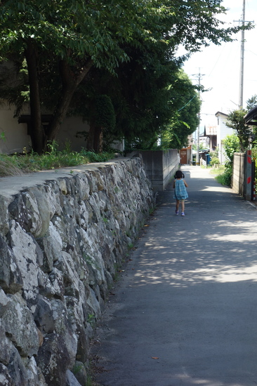 DSC07528.jpg