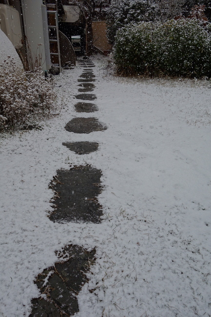 DSC09223.jpg
