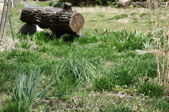 DSC09396.JPG