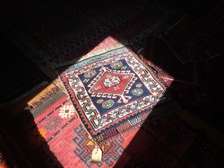 IMG_6763.jpg