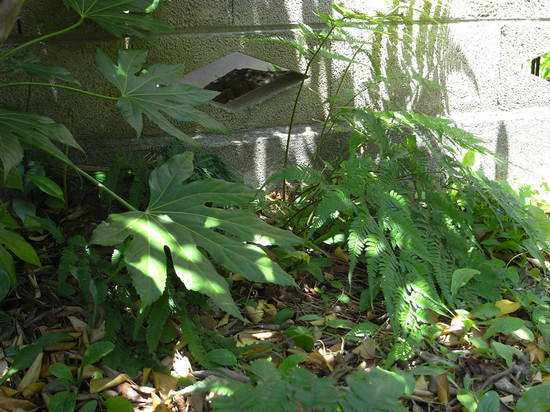 R0014836.JPG